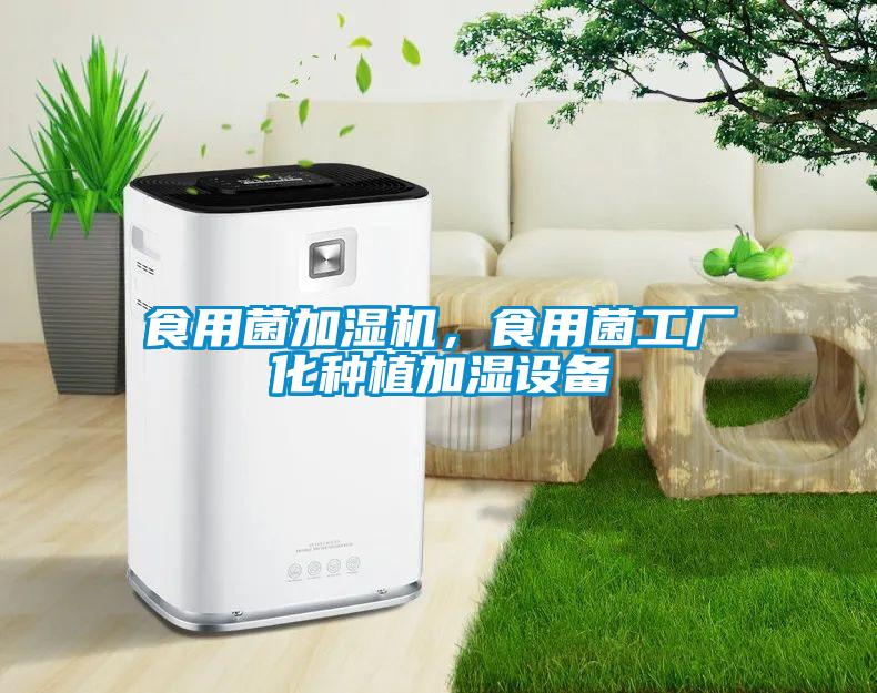 食用菌加濕機，食用菌工廠化種植加濕設備