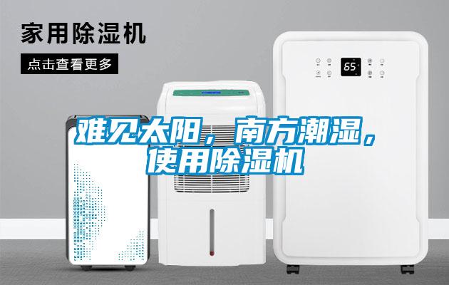 難見太陽，南方潮濕，使用除濕機