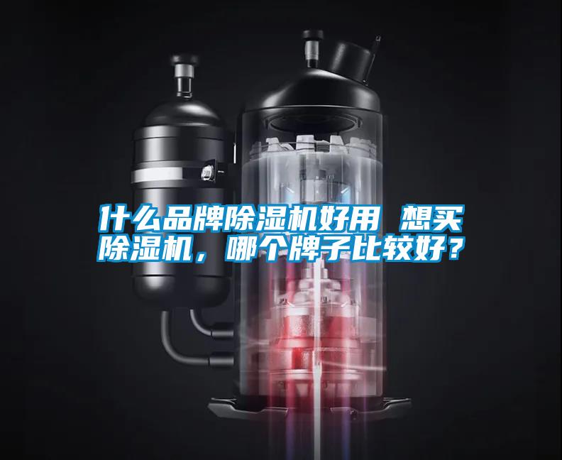 什么品牌除濕機好用 想買除濕機，哪個牌子比較好？