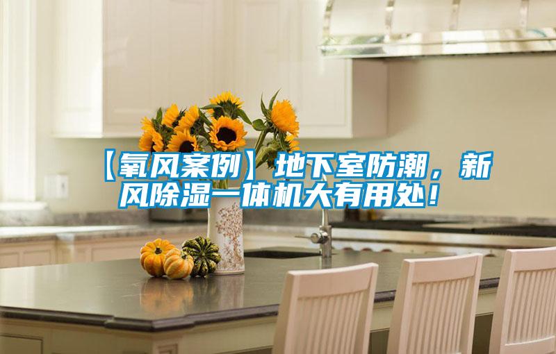 【氧風案例】地下室防潮，新風除濕一體機大有用處！