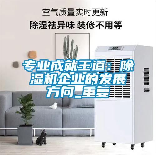 專業成就王道：除濕機企業的發展方向_重復