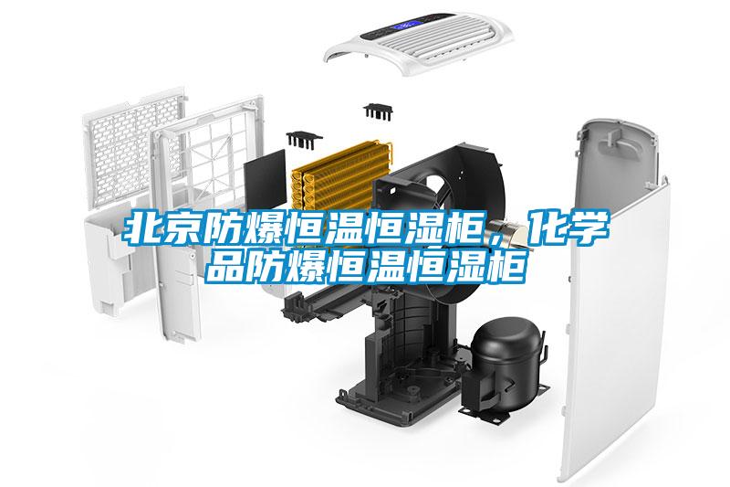 北京防爆恒溫恒濕柜，化學品防爆恒溫恒濕柜