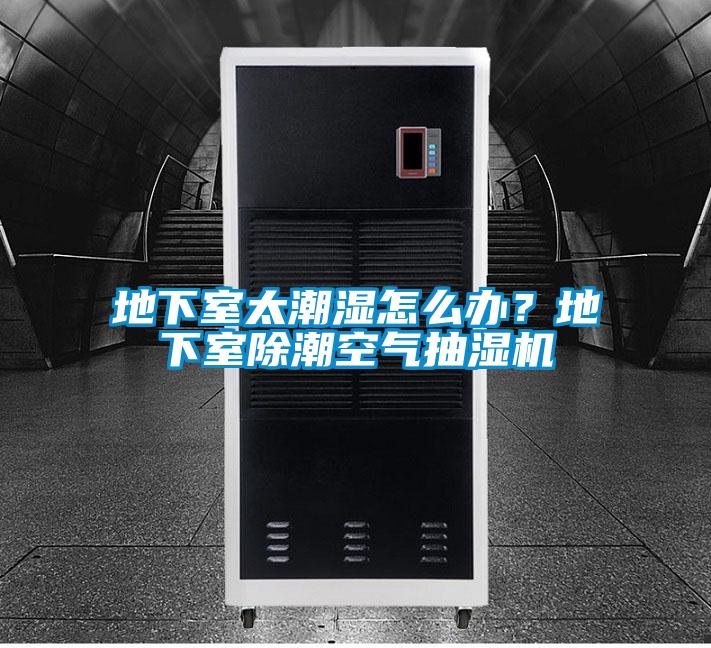 地下室太潮濕怎么辦？地下室除潮空氣抽濕機