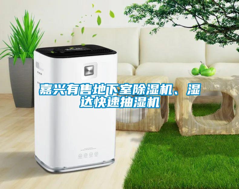 嘉興有售地下室除濕機、濕達快速抽濕機