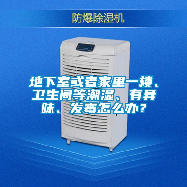 地下室或者家里一樓、衛生間等潮濕、有異味、發霉怎么辦？