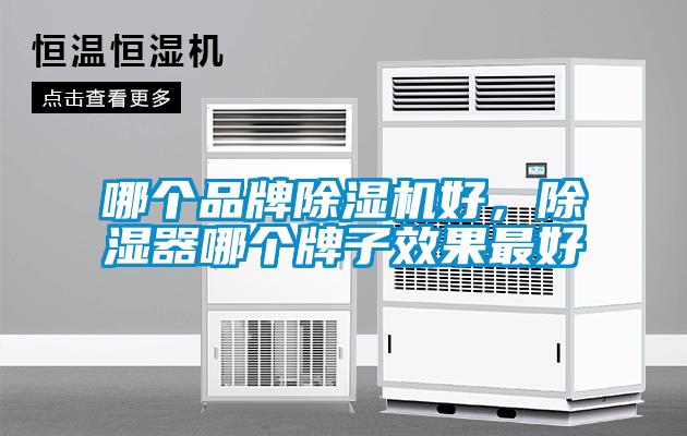 哪個品牌除濕機好，除濕器哪個牌子效果最好
