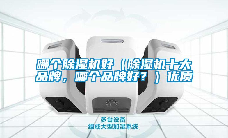 哪個除濕機好（除濕機十大品牌，哪個品牌好？）優質