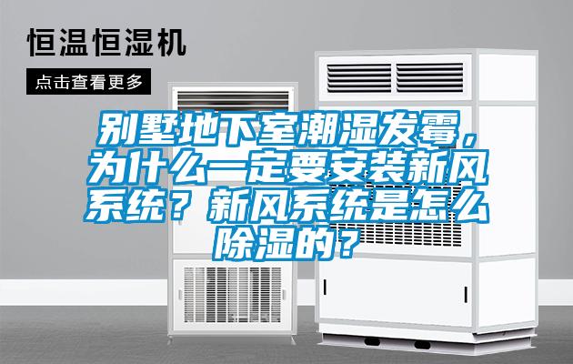 別墅地下室潮濕發霉，為什么一定要安裝新風系統？新風系統是怎么除濕的？