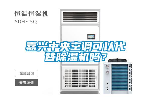 嘉興中央空調可以代替除濕機嗎？
