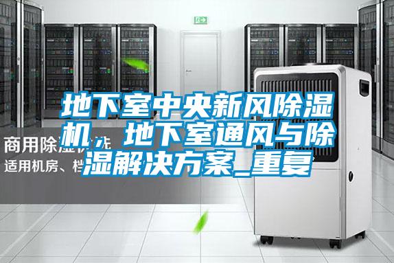 地下室中央新風除濕機，地下室通風與除濕解決方案_重復