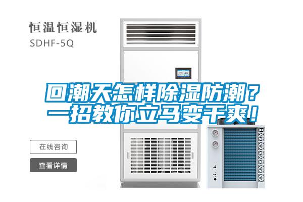 回潮天怎樣除濕防潮？一招教你立馬變干爽！