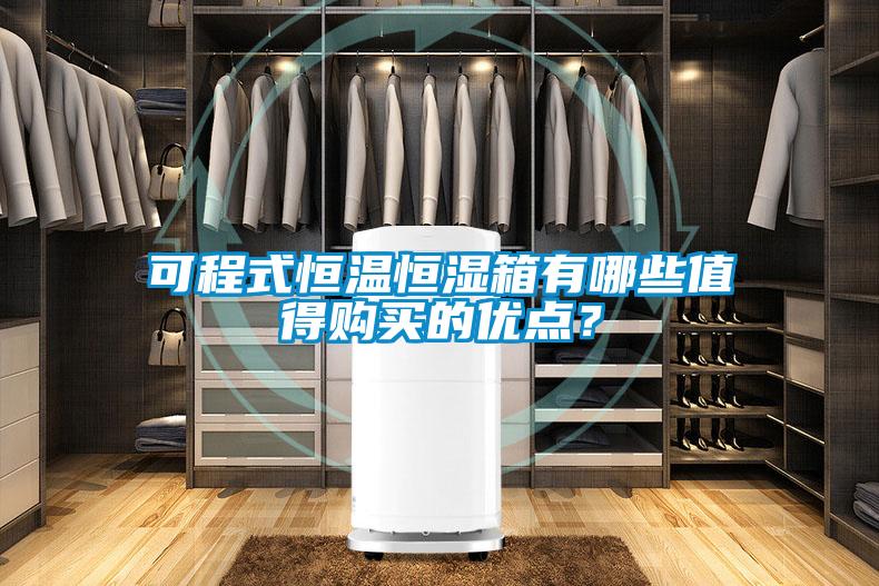 可程式恒溫恒濕箱有哪些值得購買的優點？