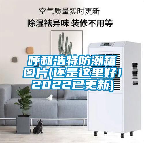呼和浩特防潮箱圖片(還是這里好！2022已更新)