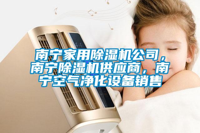 南寧家用除濕機公司，南寧除濕機供應商，南寧空氣凈化設備銷售