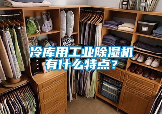 冷庫用工業除濕機有什么特點？
