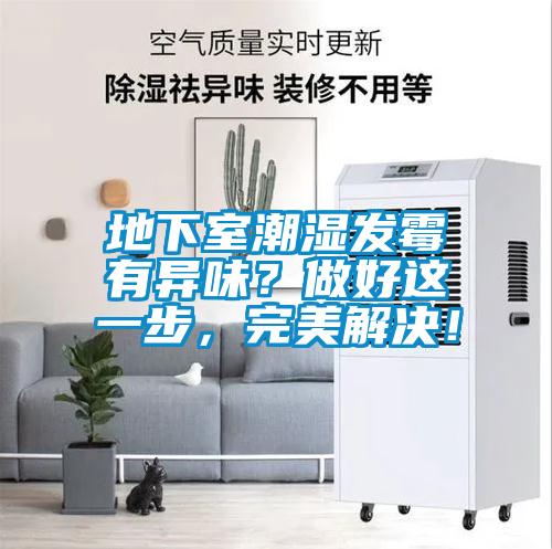 地下室潮濕發霉有異味？做好這一步，完美解決！