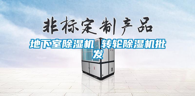 地下室除濕機 轉輪除濕機批發