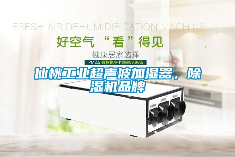 仙桃工業超聲波加濕器，除濕機品牌
