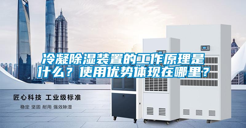 冷凝除濕裝置的工作原理是什么？使用優勢體現在哪里？