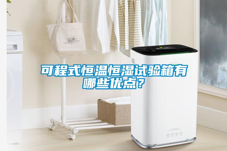 可程式恒溫恒濕試驗箱有哪些優點？