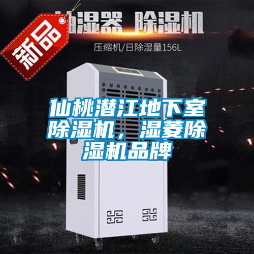 仙桃潛江地下室除濕機，濕菱除濕機品牌