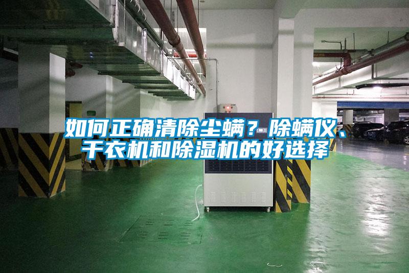 如何正確清除塵螨？除螨儀、干衣機和除濕機的好選擇