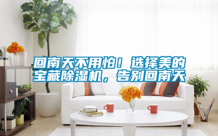 回南天不用怕！選擇美的寶藏除濕機，告別回南天