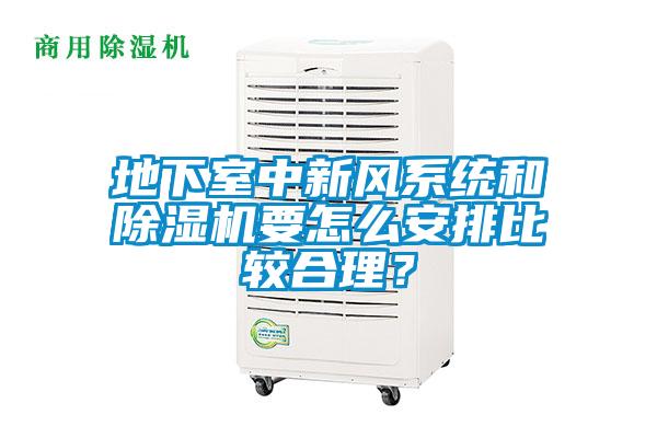 地下室中新風系統和除濕機要怎么安排比較合理？