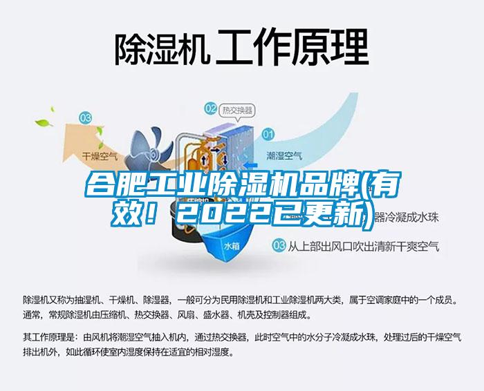 合肥工業除濕機品牌(有效！2022已更新)