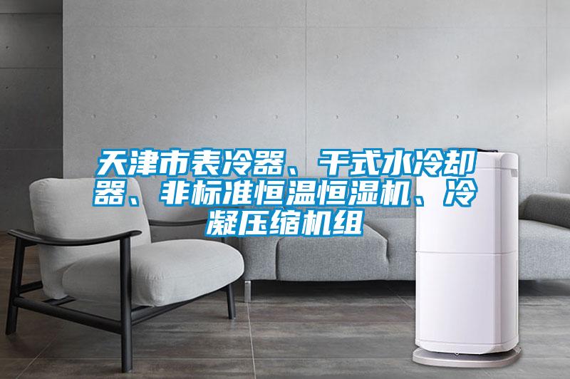 天津市表冷器、干式水冷卻器、非標準恒溫恒濕機、冷凝壓縮機組