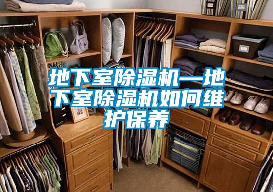 地下室除濕機—地下室除濕機如何維護保養