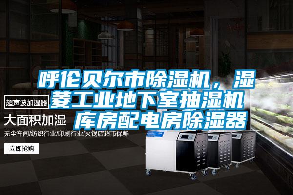 呼倫貝爾市除濕機，濕菱工業地下室抽濕機  庫房配電房除濕器