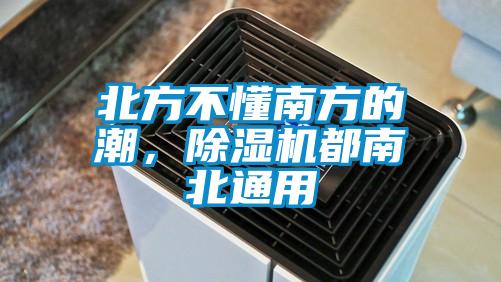 北方不懂南方的潮，除濕機都南北通用