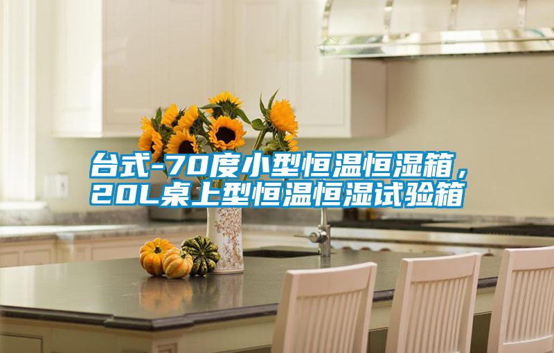 臺式-70度小型恒溫恒濕箱，20L桌上型恒溫恒濕試驗箱