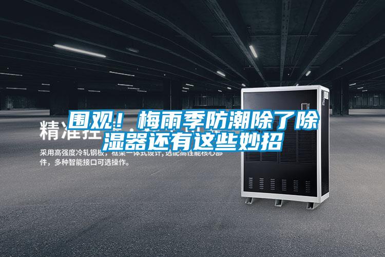 圍觀！梅雨季防潮除了除濕器還有這些妙招