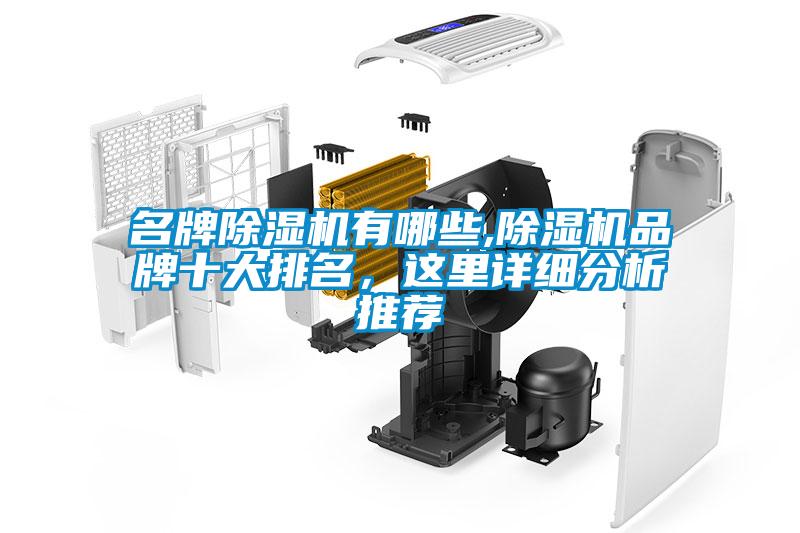名牌除濕機有哪些,除濕機品牌十大排名，這里詳細分析推薦