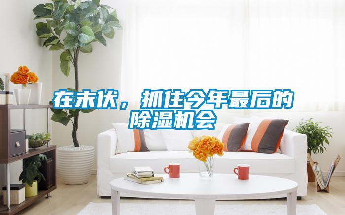 在末伏，抓住今年最后的除濕機會
