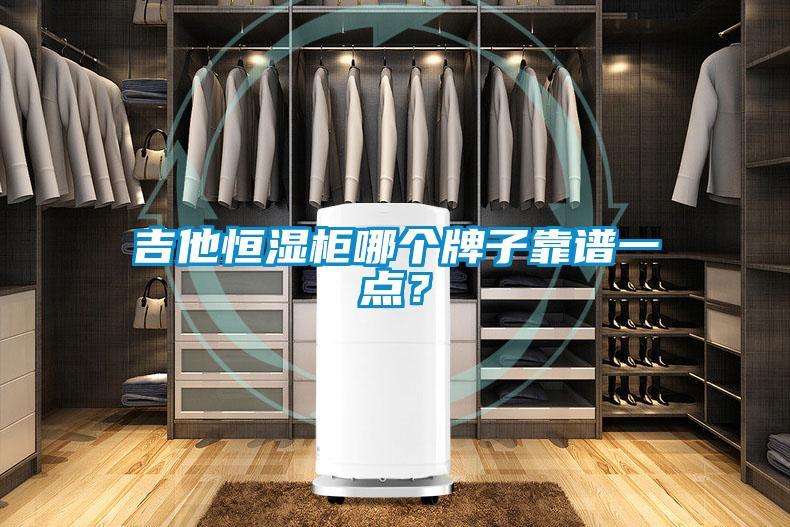 吉他恒濕柜哪個牌子靠譜一點？