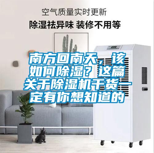 南方回南天，該如何除濕？這篇關于除濕機干貨一定有你想知道的