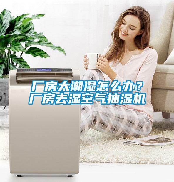 廠房太潮濕怎么辦？廠房去濕空氣抽濕機