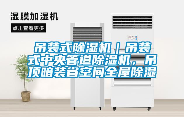 吊裝式除濕機｜吊裝式中央管道除濕機，吊頂暗裝省空間全屋除濕