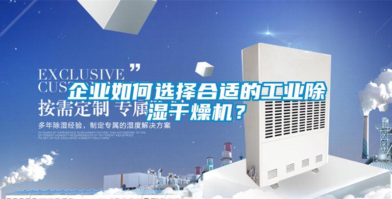企業如何選擇合適的工業除濕干燥機？