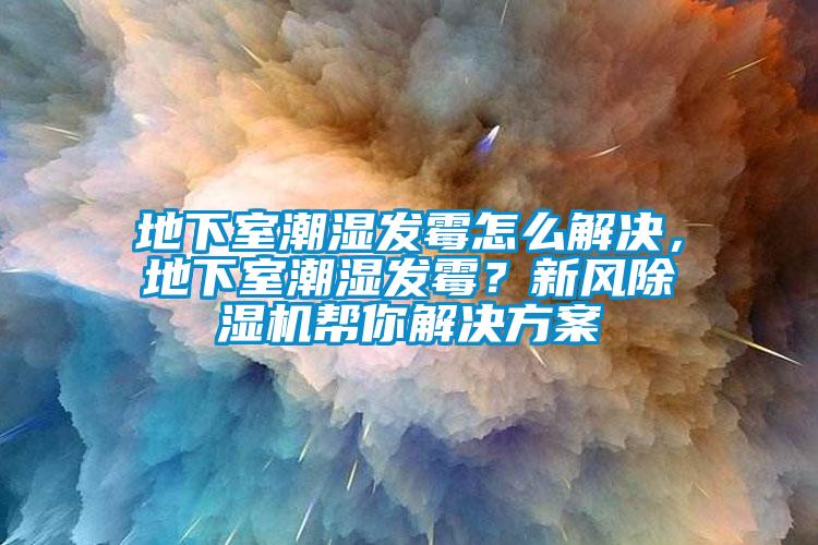 地下室潮濕發霉怎么解決，地下室潮濕發霉？新風除濕機幫你解決方案