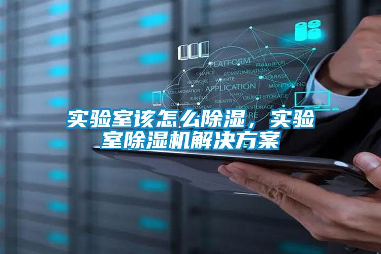 實驗室該怎么除濕，實驗室除濕機解決方案