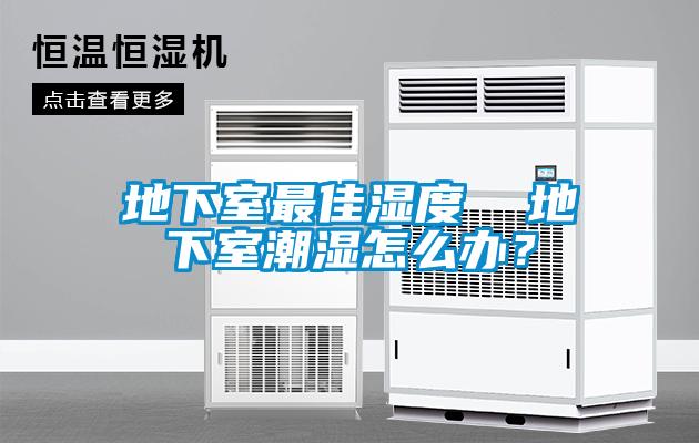 地下室最佳濕度  地下室潮濕怎么辦？