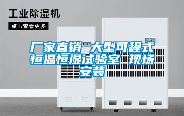 廠家直銷 大型可程式恒溫恒濕試驗室 現場安裝