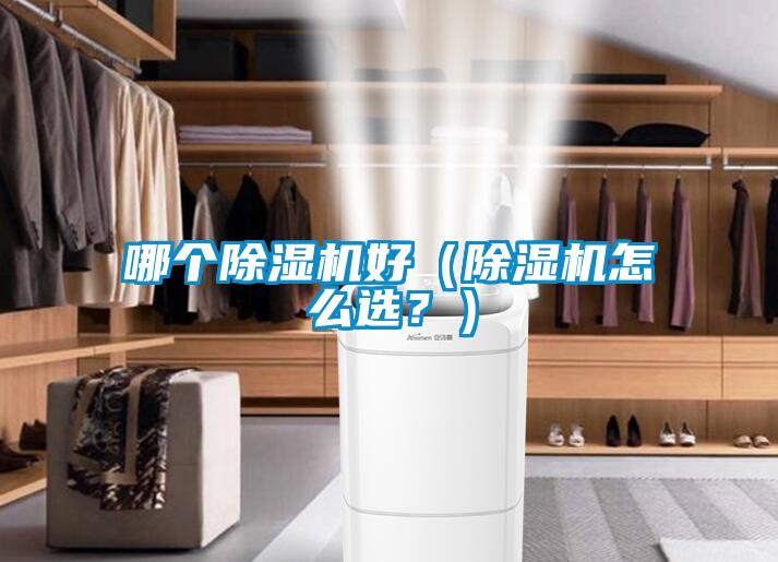 哪個除濕機好（除濕機怎么選？）