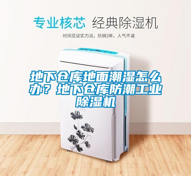 地下倉庫地面潮濕怎么辦？地下倉庫防潮工業除濕機