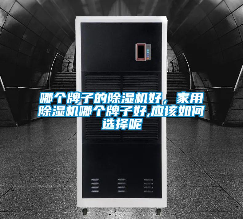 哪個牌子的除濕機好，家用除濕機哪個牌子好,應該如何選擇呢