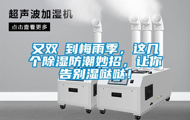 又雙叒到梅雨季，這幾個除濕防潮妙招，讓你告別濕噠噠！